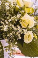 Nos prestations sur le secteur de proche d'Uzès