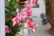 Notre zone d'activité pour ce service Salle de réception